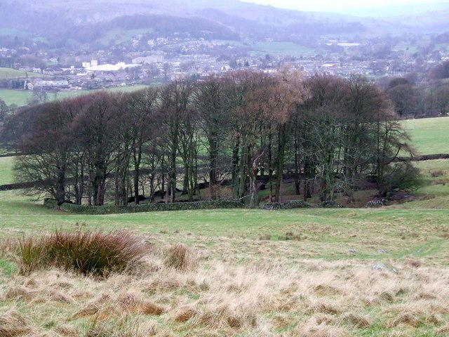 Woodland, for it to endure, must be enclosed to protect its re-growth from grazing