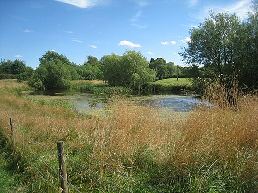 Pond at Goulceby - geograph.org.uk - 3091267