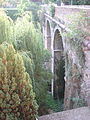 Pont de la Plana (Sant Joan de les Abadesses)
