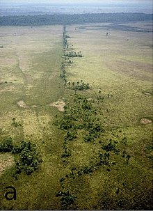 This pre-historic causeway was constructed to connect two islands in the Llanos de Moxos, Bolivia. Pre-Columbian man-made causeway in Llanos de Moxos.jpg