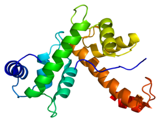 <span class="mw-page-title-main">PDCD6</span> Protein-coding gene in the species Homo sapiens