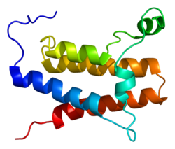 Белок SMARCA2 PDB 2dat.png