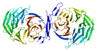 <span class="mw-page-title-main">TLE4</span> Protein-coding gene in the species Homo sapiens