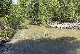 Upper reaches of the Río Cañamares