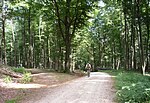 Steinhaufen (Taunus)