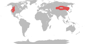 Área de distribución de Cervus canadensis