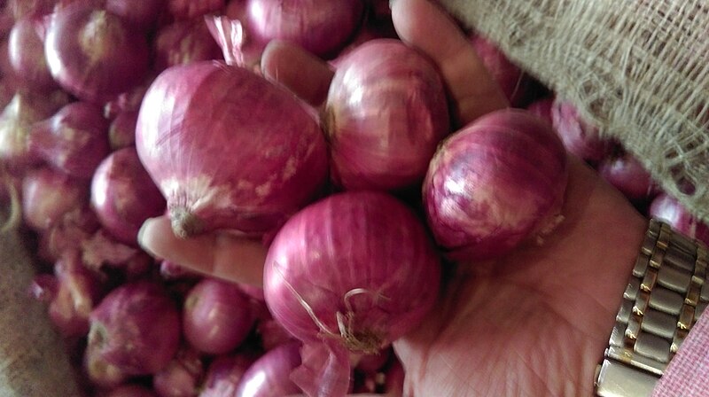 File:Red Onion.jpg