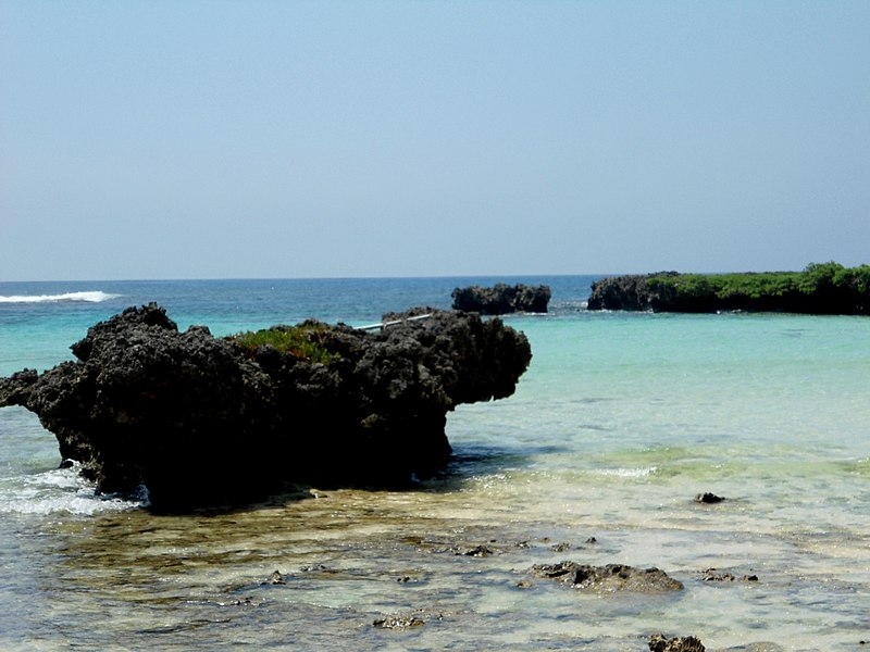 File:Reefs of ETON Beach - panoramio.jpg