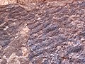 Ripple marks in sandstone (Kayenta Formation or Navajo Sandstone, Lower Jurassic; Potash-Poison Spider dinosaur tracksite, Williams Bottom, west of Moab, Utah, USA) 3 (32375065343).jpg