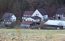 Rotbusch (Schmallenberg) .jpg