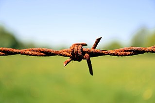 <span class="mw-page-title-main">Barbed wire</span> Type of steel fencing wire constructed with sharp edges or points