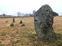 Resta stenar på Särestads gravfält, Halland.