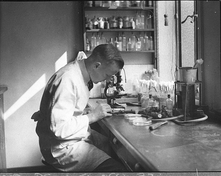 File:SLNSW 13998 Laboratory testing Agriculture Department taken for Dr Edwards agricultural writer for Smiths Weekly.jpg