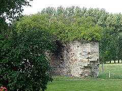 Ruines du château royal.