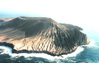 Volcan Barcena, magnificent tomb of a little bird San Benedicto Island.jpg