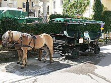 Haflingers pulling a carriage in northern Austria Sankt Wolfgang - Pferdegespann.jpg