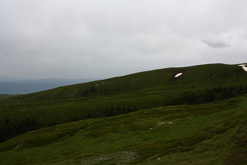 File:Sar Planina Maj 2010 (133).jpg