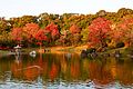 * Nomination Scenery of Shinji pond at Expo'70 Commemoration Park in Osaka.. --Laitche 12:28, 12 November 2016 (UTC) * Promotion  Support Good quality.--Famberhorst 16:30, 12 November 2016 (UTC)