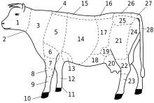 Diagram of a cow; the withers are the region numbered 4. Schema Veau-tag.svg