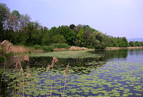 Illustrasjonsbilde av artikkelen Aeschi - Burgäschisee Ost