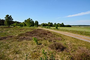 Schleswig-Holstein, Elpersbüttel, Landschaftsschutzgebiet Jägersburger Heide NIK 3308.jpg