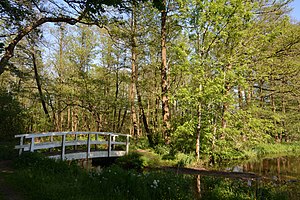 Schleswig-Holstein, Nordhastedt, Landschaftsschutzgebiet Mühlenteich NIK 2486.jpg