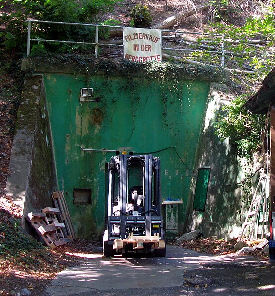 File:Schlossbergstollen in Freiburg-Waldsee zur Pilzzucht genutzt.jpg