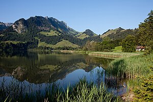 Schwarzsee-2009.jpg