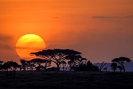 Zôchòd słuńca nad Serengeti