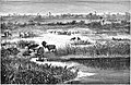 Seven Years in South Africa, page 133, game country near Blockley's kraal.jpg