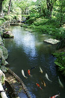 Fontaine d'eau extérieure: l'élément clé d'un jardin zen - Paysage