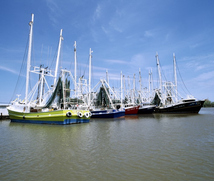 File:Shrimp boat fleet in Louisiana LCCN2011630724.tif