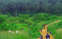 Sierra Leone: Maantiede, Historia, Poliittinen järjestelmä