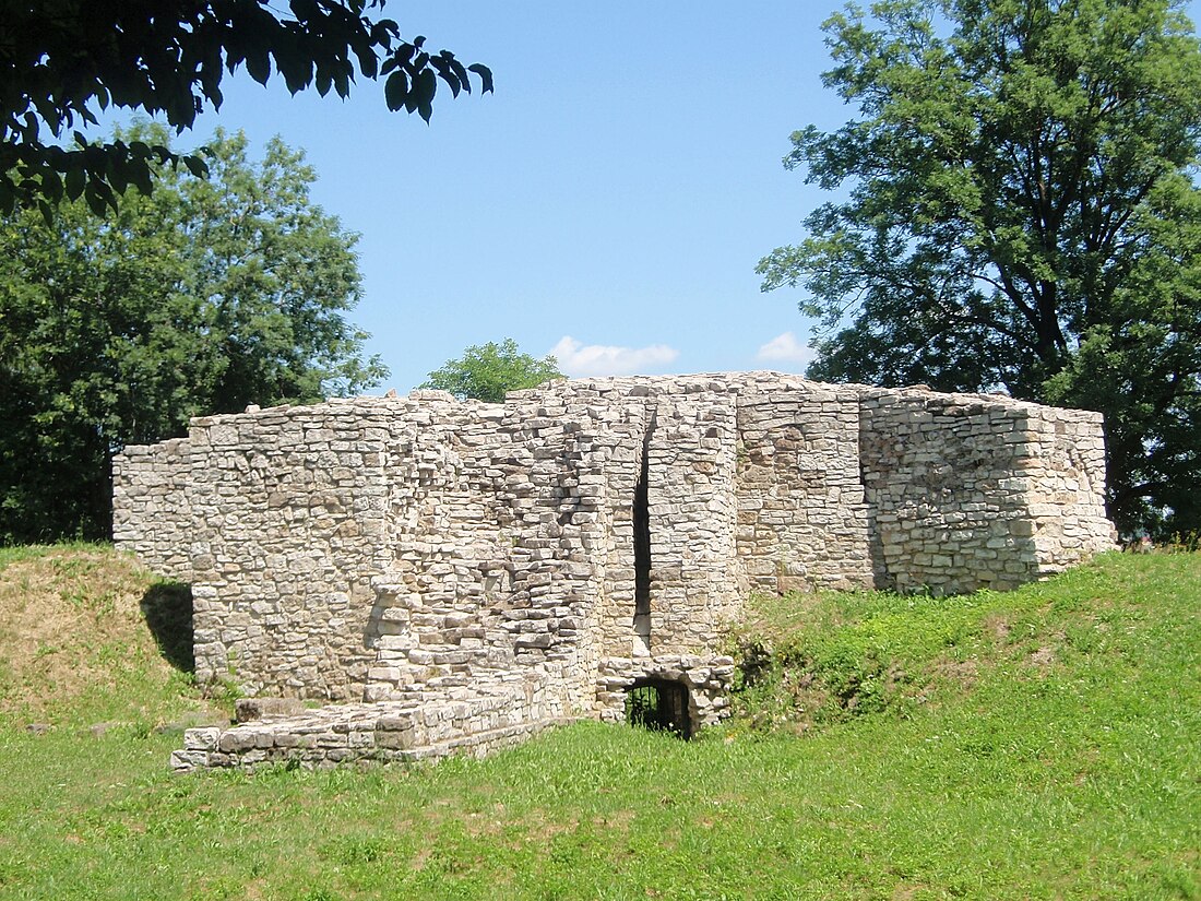 Zamek biskupów krakowskich w Sławkowie