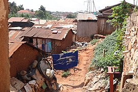 Slum Homes.jpg