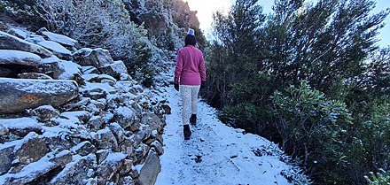 The zig-zag path towards kunyanyi / Mount Wellington
