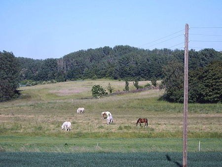 Sohlener Berge