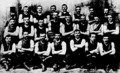 South Tasmanian football team that toured Sydney in 1890