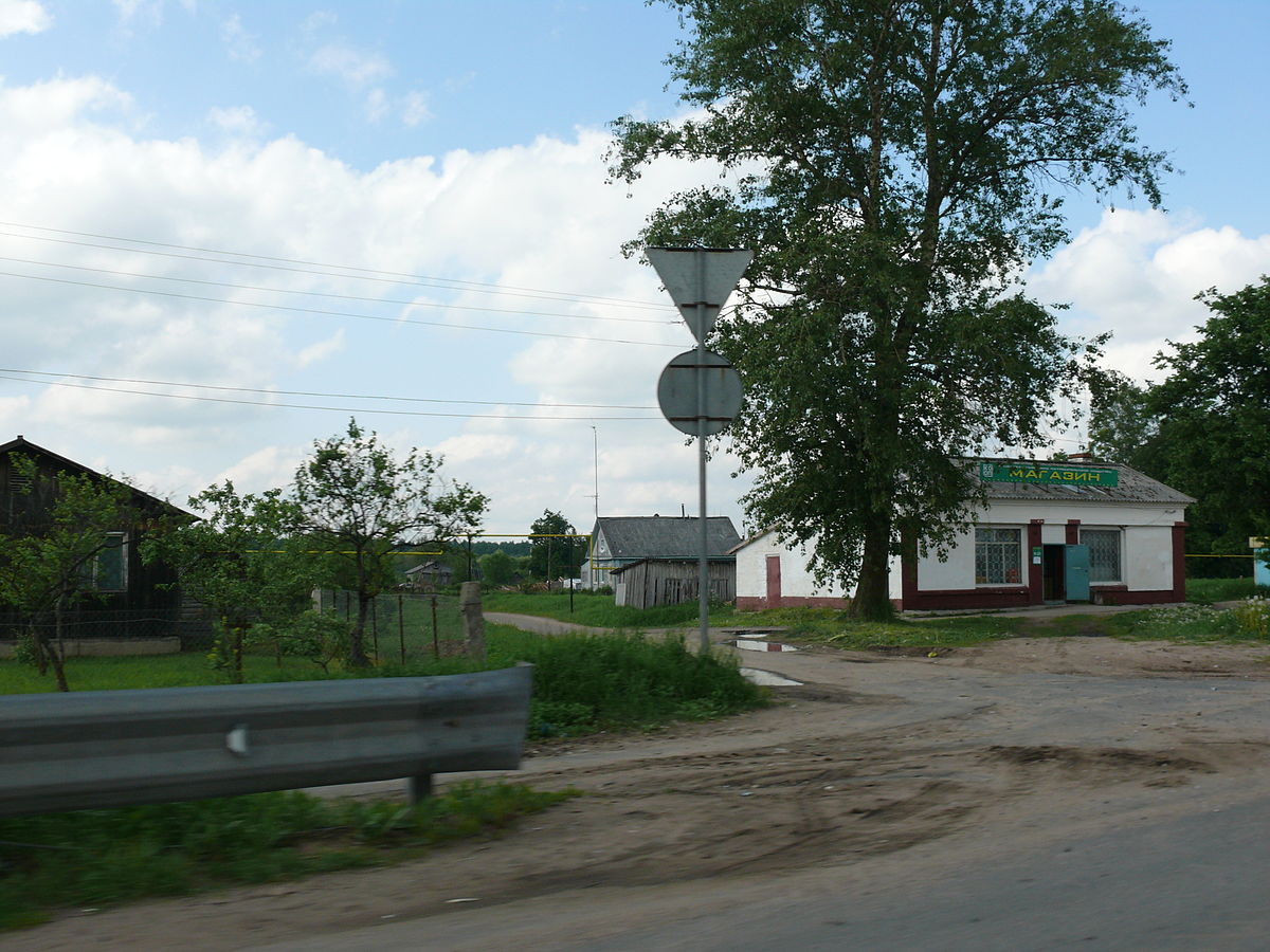 Спасская Полисть (деревня) — Википедия