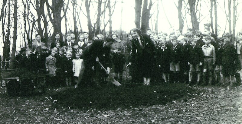 File:Spiers Coronation Garden Planting 1953.jpg