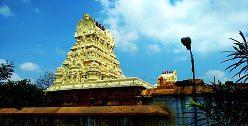 Sri Vaseeswarar temple, Tirupasur, Tiruvallur, Tamilnadu, India