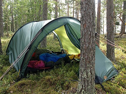 Wild camping in pine forest; the inner doors have mosquito nets, now open