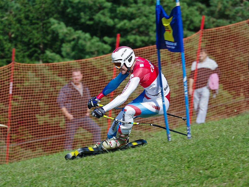 File:Stefan Portmann Grass Skiing World Championships 2009 SC Super-G.jpg