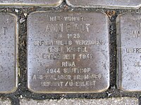 der Stolperstein für Anni Plaut