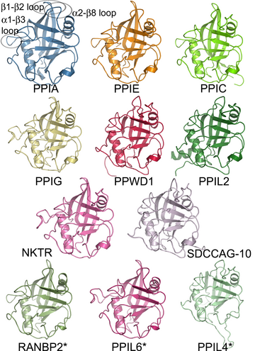 Famili protein