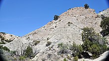 Stump Formation (Jurassic; Dinosaur National Monument, Utah, USA) 9 (48828519336).jpg