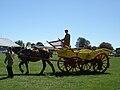 Traditionele boerenwagen