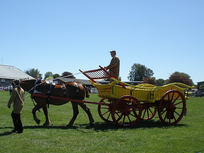 File:Suffolk Show 1.jpg