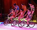 bicycles in circus