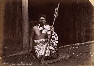 Taitua at Taumarunui in 1885.